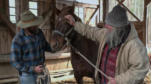 Mountain Men Season 12 Episode 4 - Breaking Wild