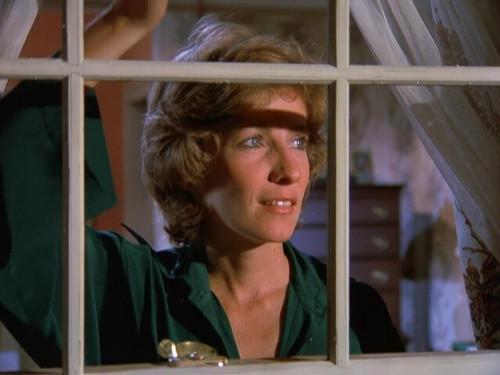 Eight Is Enough Season 3 Episode 3 - Here We Go Again