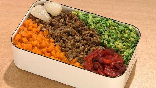 BENTO EXPO Season 6 Episode 14 - Triple Curry Soboro Bento & Saba Katsu Bento