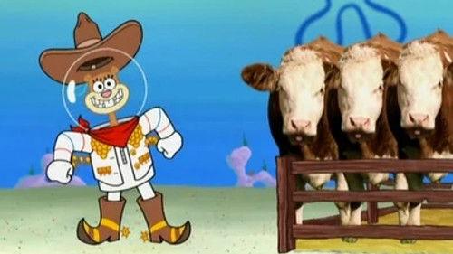 SpongeBob SquarePants Season 7 Episode 15 - Rodeo Daze
