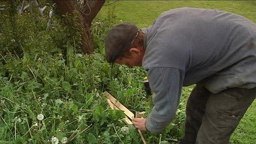 Frank & Kastaniegaarden Season 1 Episode 1 - Episode 1