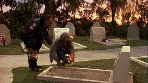 Family Matters Season 2 Episode 25 - I Should Have Done Something