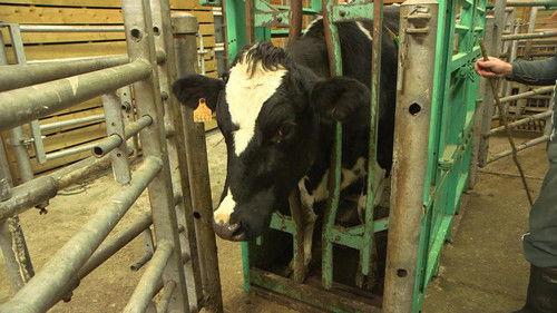 The World in Front Season 11 Episode 7 - Episode 7