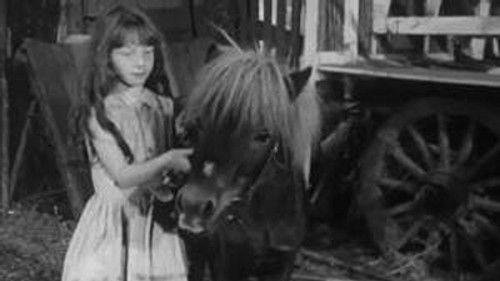 Poly Season 4 Episode 5 - Episode 5