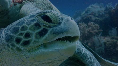 Hostile Planet Season 1 Episode 2 - Oceans