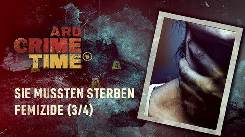 ARD Crime Time Season 12 Episode 3 - Episode 3