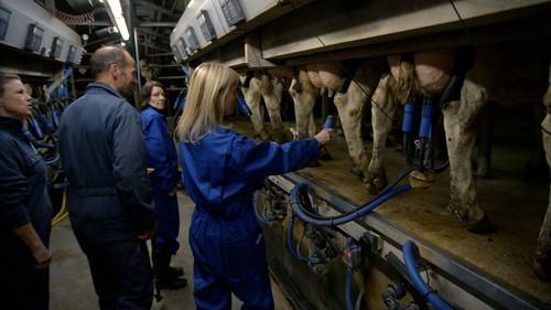 Farmer Wants a Wife Season 12 Episode 5 - Episode 5