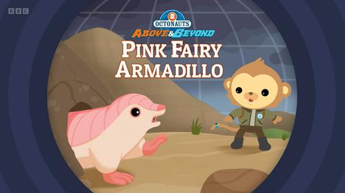 Octonauts: Above & Beyond Season 3 Episode 3 - Pink Fairy Armadillo