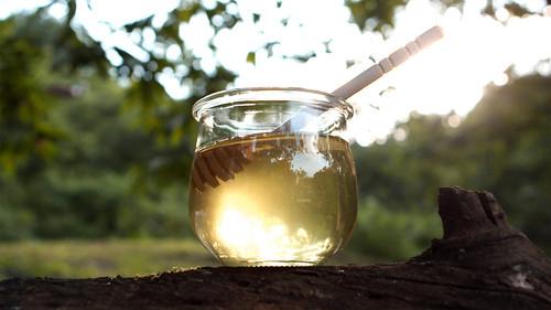 Trails to Oishii Tokyo Season 2 Episode 12 - HONEY