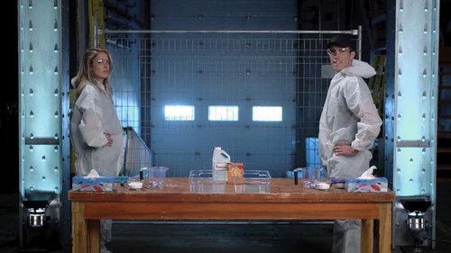 Cochon dingue Season 5 Episode 17 - Episode 17