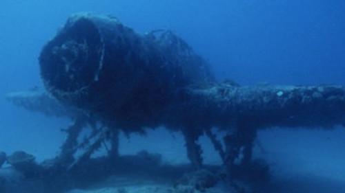 Natural World Season 20 Episode 8 - War Wrecks of the Coral Sea