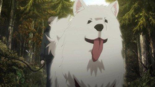 Beautiful Bones: Sakurako's Investigation Season 1 Episode 11 - A Butterfly Disappeared in November (Part 2)