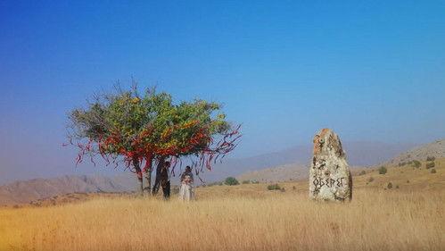 Survive in … Season 4 Episode 4 - Episode 4