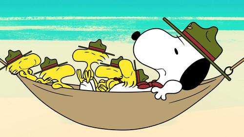 Camp Snoopy Season 1 Episode 12 - Sally's Tooth / The Chewing Gum Dilemma