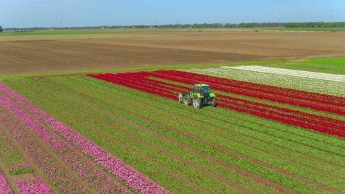 Europe from Above Season 1 Episode 1 - The Netherlands
