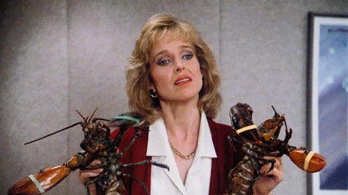 undefined Season 2 Episode 6 - Auld L'Anxiety