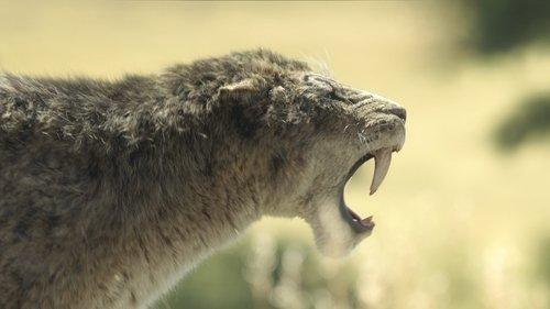 Prehistoric Planet Season 3 Episode 4 - Grass Lands