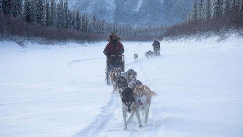 Life Below Zero Season 17 Episode 1 - Winter’s Surprise