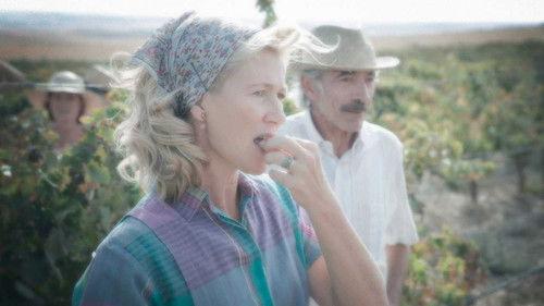 undefined Season 17 Episode 11 - Episode 11