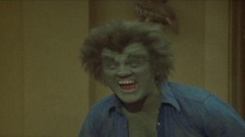 The Incredible Hulk Season 4 Episode 13 - The First (2)