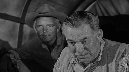 undefined Season 2 Episode 27 - The Swift Cloud Story