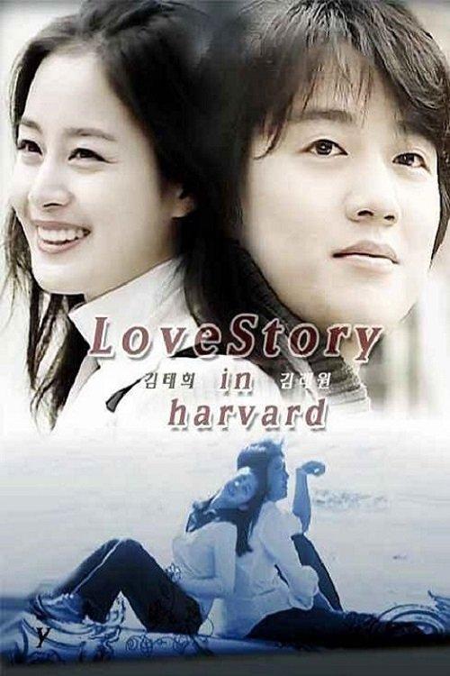 Love Story in Harvard poster