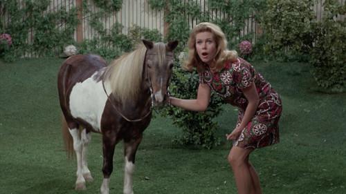 Bewitched Season 4 Episode 13 - Solid Gold Mother-in-Law
