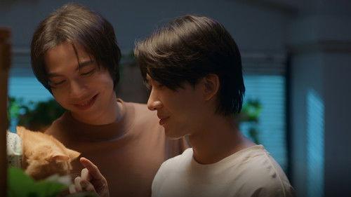 Cat for Cash Season 1 Episode 4 - Episode 4