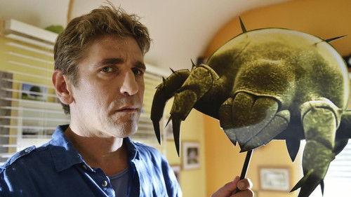 Löwenzahn Season 33 Episode 13 - Episode 13