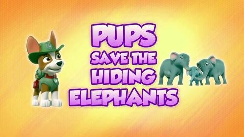 PAW Patrol Season 8 Episode 18 - Pups Save the Hiding Elephants