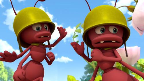 Maya the Bee Season 2 Episode 24 - Maya Commander in Chief