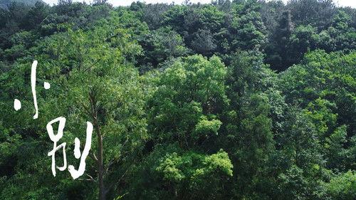 The Litchi Road Season 1 Episode 18 - Episode 18