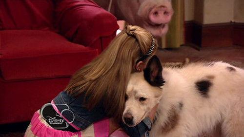 Dog with a Blog Season 1 Episode 3 - Dog with a Hog