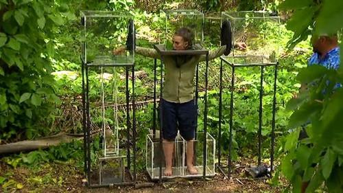 I'm a Celebrity: Get Me Out of Here! Season 2 Episode 10 - Episode 10