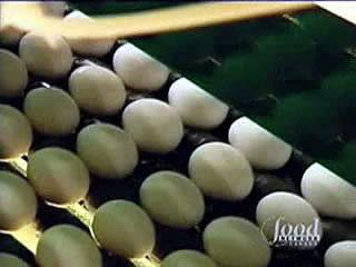 Good Eats Season 1 Episode 3 - The Egg-Files