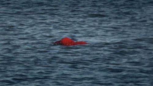 Case Histories Season 1 Episode 3 - One Good Turn (1)