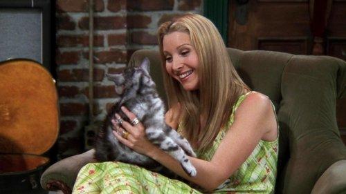 Friends Season 4 Episode 2 - The One with the Cat