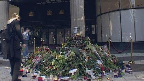 Svenska fall Season 4 Episode 5 - The murder of Anna Lindh - Part 2