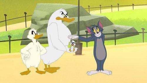 undefined Season 1 Episode 1 - Put a Ring on It / Come Fly with Me / Bubble Gum Crisis / Mousequerade