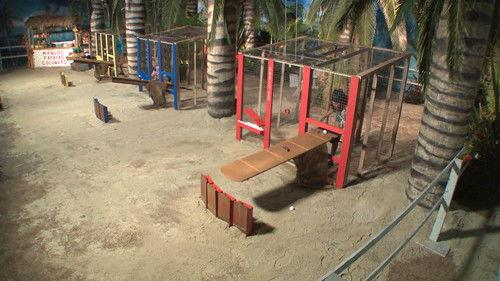 Big Brother Season 21 Episode 21 - Episode 21