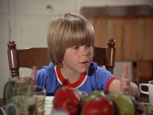 Eight Is Enough Season 1 Episode 3 - Pieces of Eight