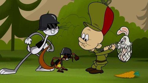 New Looney Tunes Season 3 Episode 6 - In Cold Fudd
