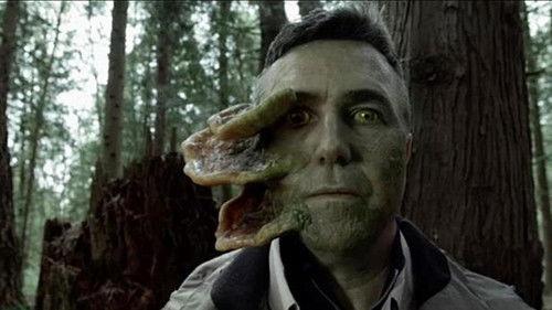 undefined Season 4 Episode 9 - Spores