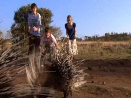 Wild at Heart Season 3 Episode 7 - Episode 7