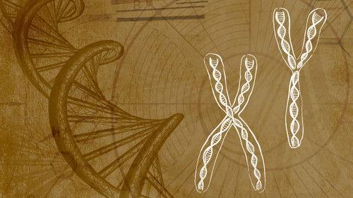 Inner Evolution Season 1 Episode 3 - Quantum Perceptions of Matter