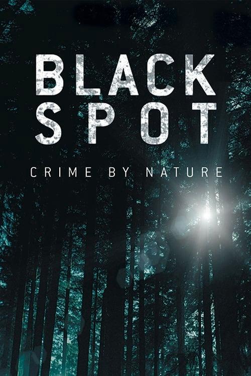 Black Spot poster