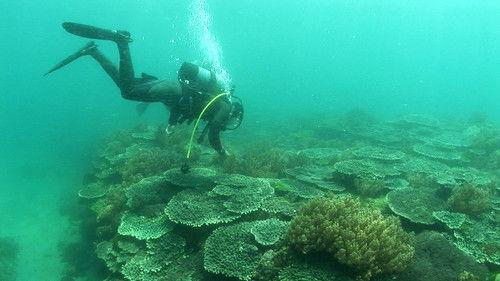 Journeys in Japan Season 8 Episode 16 - Nanyo, Ehime: Water for Life and Fun