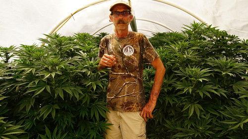 Weediquette Season 1 Episode 5 - The Emerald Triangle