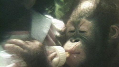 News Treasury Season 1 Episode 13 - Episode 13