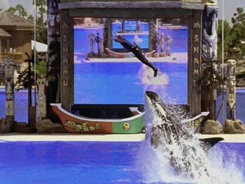 undefined Season 3 Episode 2 - My Journey